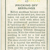 Pricking off seedlings.