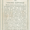 Taking cuttings.