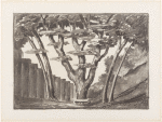 Lucia di Lammermoor : Set: [Garden]