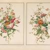 Paper hangings by Mader fréres [sic] of Paris.