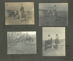 Corral at Barret's, Oklahoma, Frank, lasso!; Cow-boy; Bucking horse and cow-boy; Taking it easy, looking backward, cattle in corral, cattlemen, Oklahoma.