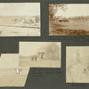 Res. of C.H. McLenethan; Residence of C.H. McLenathen, at Eddy (now Carlsbad) New Mexico. Note young trees; Spring Lake at Rheinboldt's ranch, Eddy, N.M.; Dwight and Lucretia Downes, Eddy, N.M., at home; Shattuck(?)