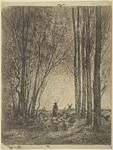 La rentrée du troupeau