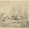 L'âne au pré