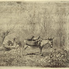 L'âne au pré (another impression)