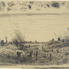 Les saules étêtés