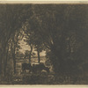 Vaches sous bois