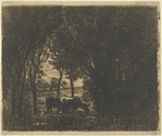 Vaches sous bois
