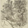 Souvenir de la vallée de la Sole