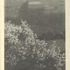 Josef Sudek: Jaro v Praze. Fotografie.