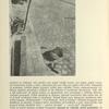 Amateurs Photographes Ouvriers (Paris): Bez přístřeší.
