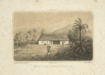 Paraguay, Récolte de Tabac aux Environs de Villa-Rica
