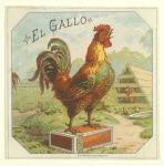 El Gallo.