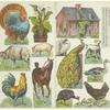 Blackwell's Durham Farmyard [paper house and animals]