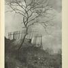 Josef Sudek: Listopad