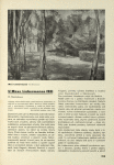 U Maxe Libermanna 1921