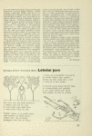 Jaroslav Seifert & František Bidlo: Letošní jaro
