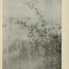 Josef Sudek: Září