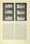 Z filmu J. Painlevé: Le Voyage dans le Ciel. ...