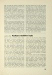 Kultura malého bytu