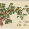 A Merry Christmas.
