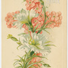 A joyful Easter.
