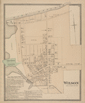 Wilson Village Business Notices; Wilson [Village]