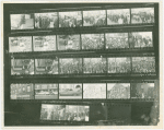 Contact sheet - Gay Unveiling Albany