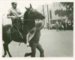 Arnie Kantrowitz chased by mounted policeman