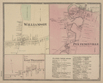 Pulteneyville [Village]; Williamson Business Notices; Williamson [Village]; East Williamson [Village]