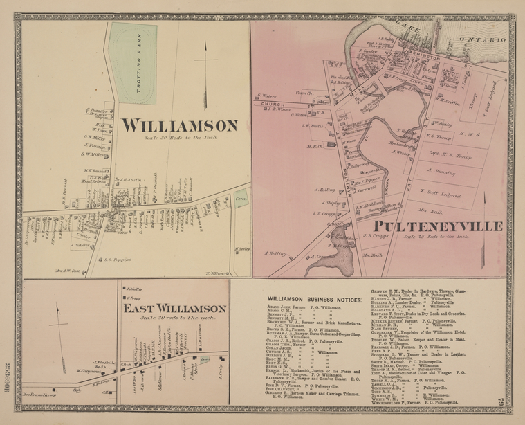 Pulteneyville [Village]; Williamson Business Notices; Williamson [Village]; East Williamson