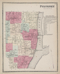 Pulteney [Township]; Pulteney Business Notices