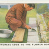 A concrete edge to the flower border.