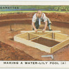 Making a water-lily pool. (A).