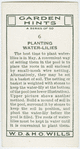 Planting water-lilies.