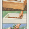Making a miniature trough or sink garden.