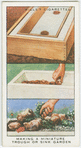 Making a miniature trough or sink garden.