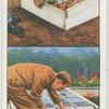 Ventilating the garden frame.