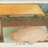 A slug trap.