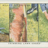 Trimming lawn edges.