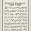 Pruning standard rose trees.