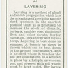 Layering.