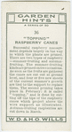 "Topping" raspberry canes.