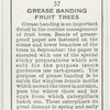 Grease banding fruit trees.