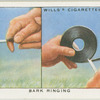 Bark ringing.