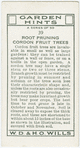 Root pruning cordon fruit trees.