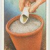 Sowing small seeds.