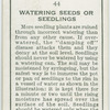 Watering seeds or seedlings.