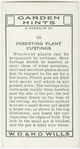 Inserting plant cuttings.