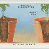 Potting plants.